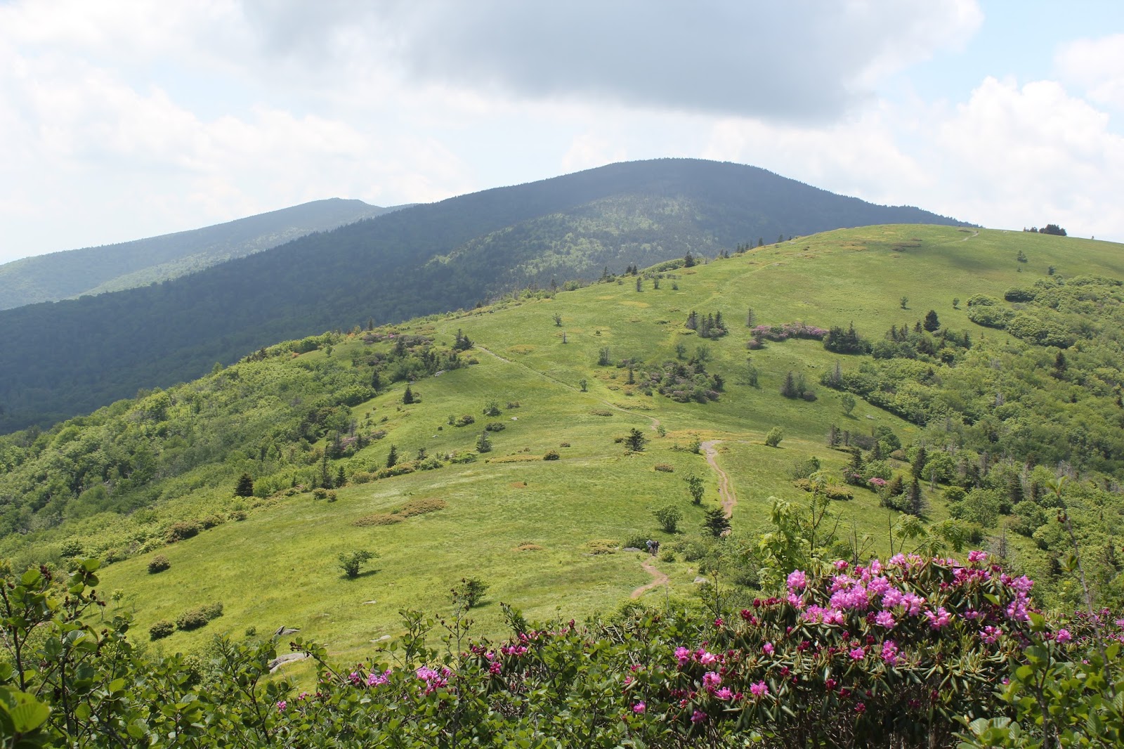 WaterTurtle Appalachian Trail hike across the Roan Mountain Balds