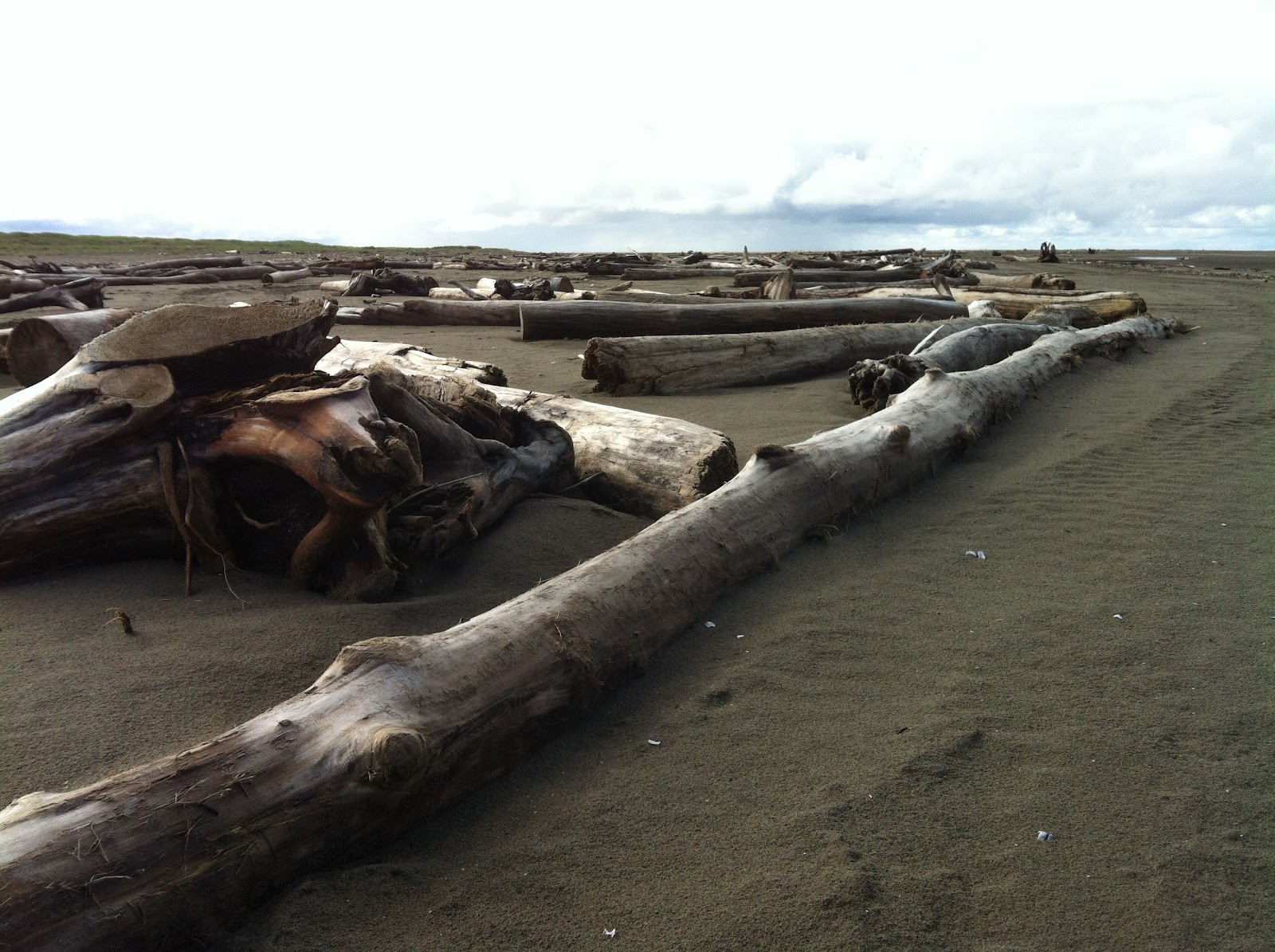 Megster's Travels Hooper Bay Stay