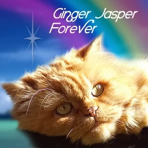 Ginger Jasper