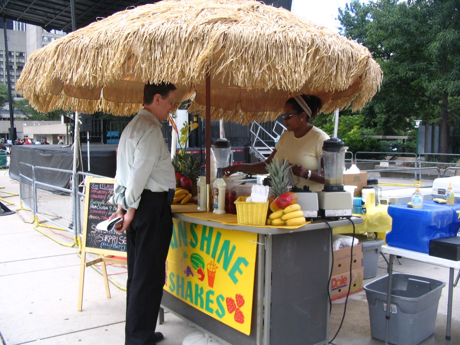 Health Inspector's Notebook Street food carts