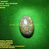 Batu Akik BIDURI Lumut Kristal model 02