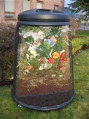 go green - compost at home!