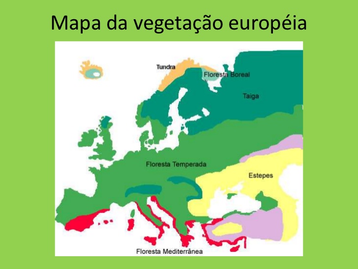 Continente Europeu Aspectos Físicos. Continente Europeu Aspectos Físicos.