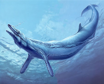 cetaceos prehistoricos Basilosaurus