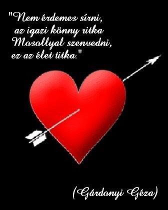 MI A TITKA EGY IGAZ N FIGYELEMFELKELT K visual data 5