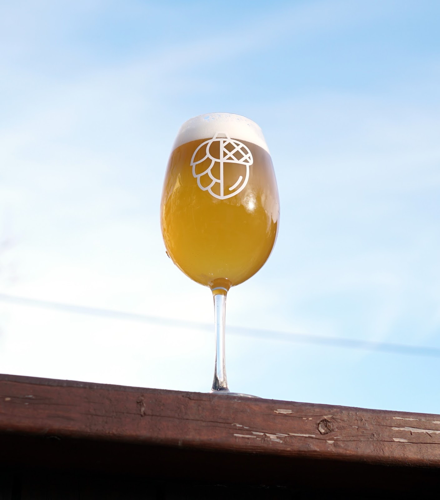 American Oat Ale BrewDay Dry Hop Experiment The Mad Fermentationist