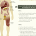 What Cannabis Does To Your Mind & Body Depending On How You Ingest It (Infographic)