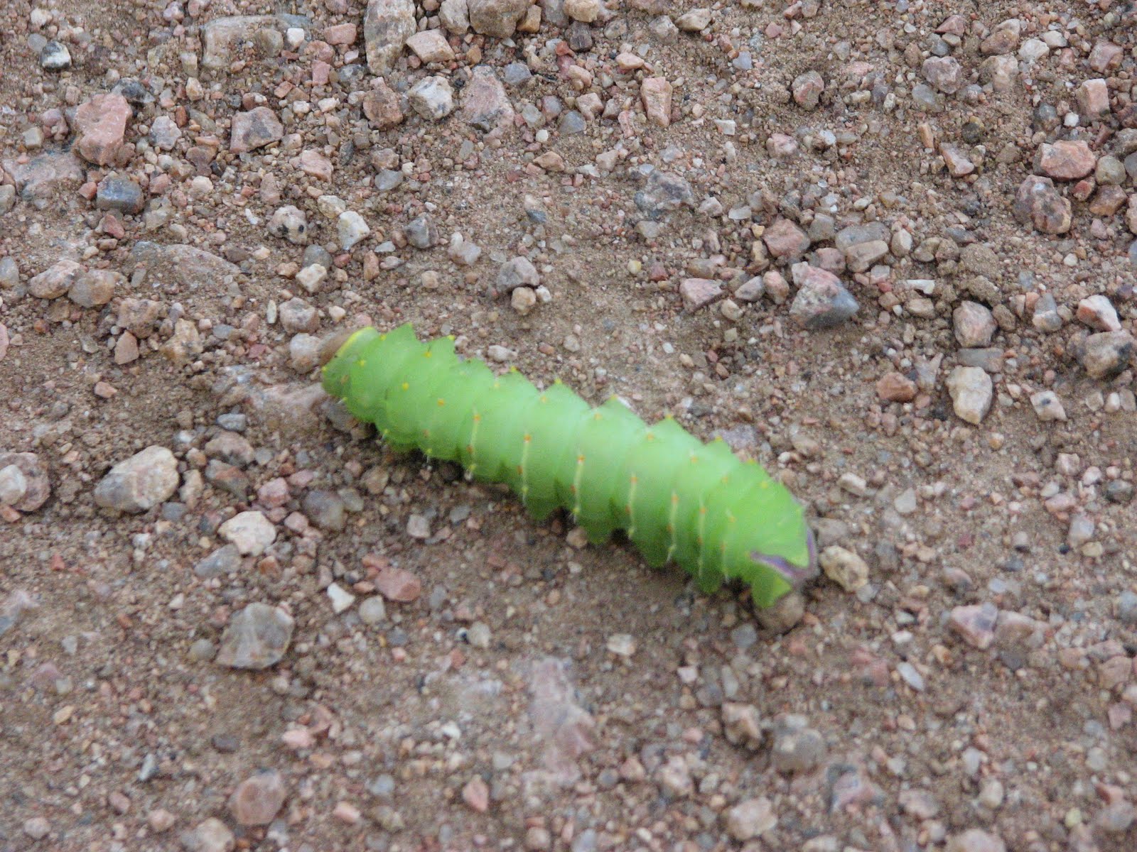 Hiking Colorado September 2011