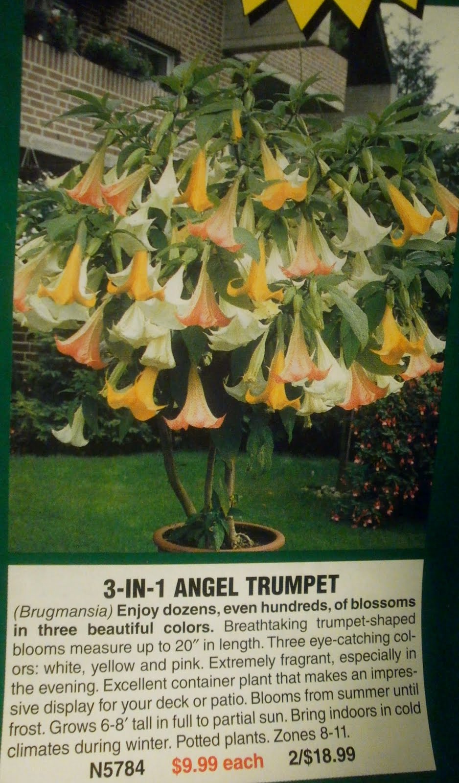 Burgess Seed Zone Map Plants Are The Strangest People 2 27 11 3 6 11