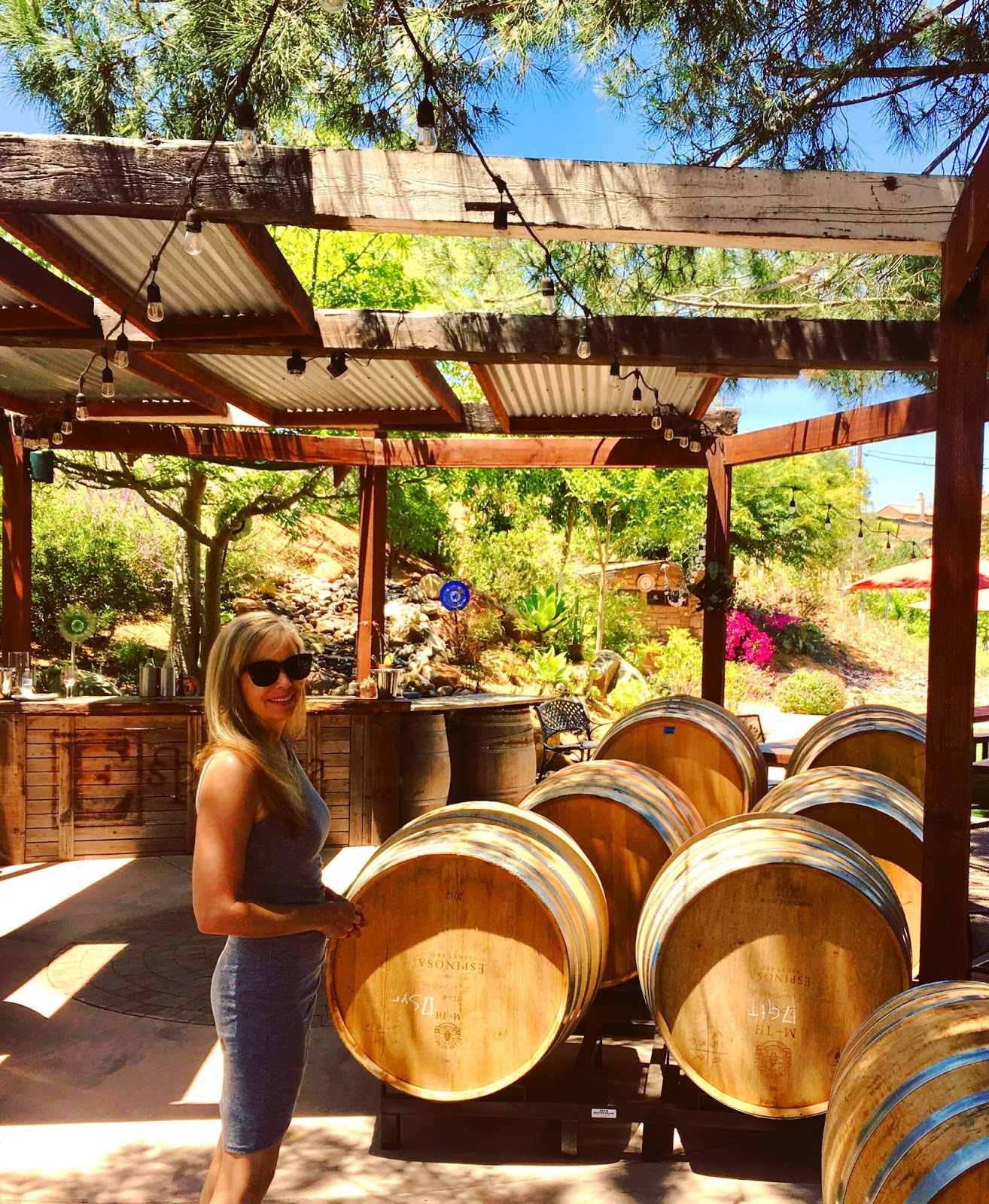 Sensory Overload Escondido Wine Region (Espinosa Vineyardsand Cordiano