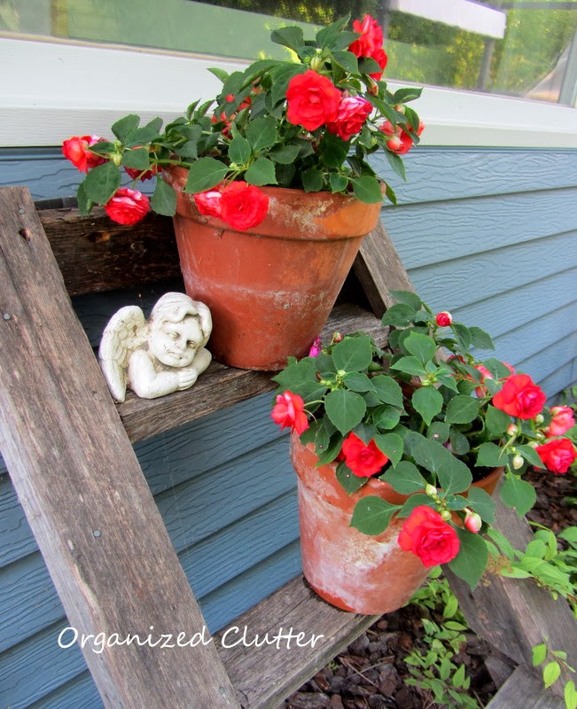 Using Red Blossoms in Garden & Pots www.organizedclutterqueen.blogspot.com