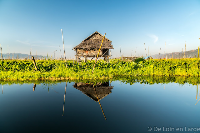 Jardins flottants de Kela - Lac Inle - Birmanie Myanmar