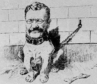 teddy roosevelt dog