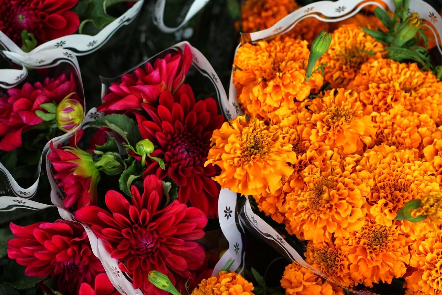 66 Square Feet (Plus): Fresh Cut Flowers 66 Square Feet (Plus): Fresh Cut Flowers
