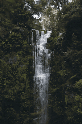 Cachoeiras de Santa Catarina cachoeiras gifs imagem animada de cachoeira