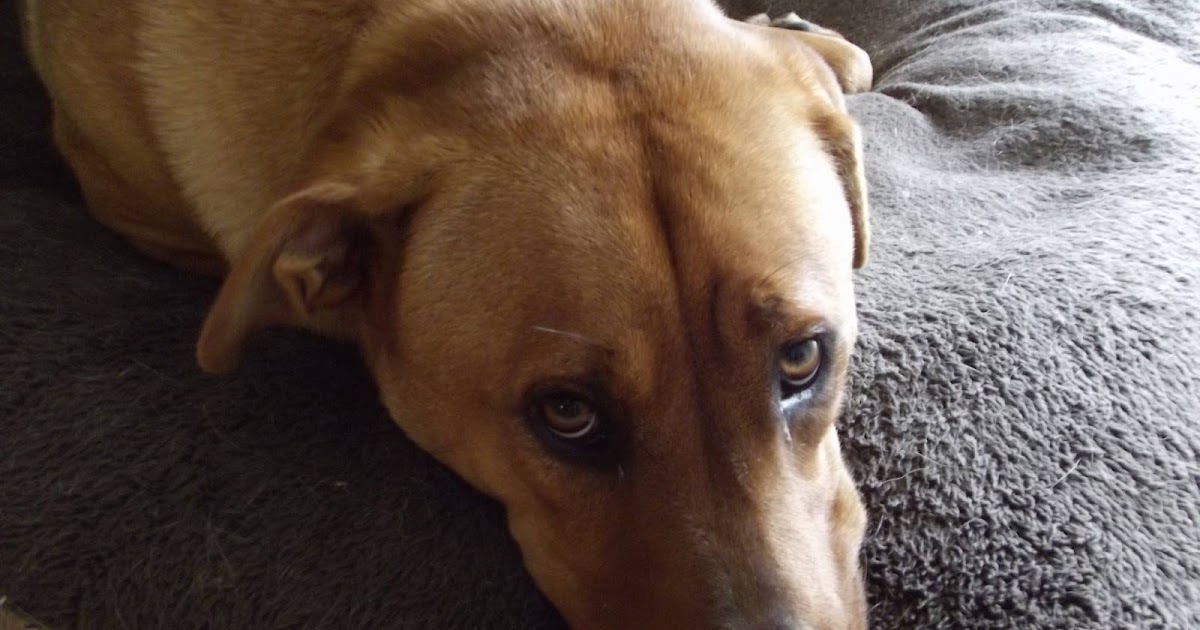 Kempton Park Orlando Florida A 'good' place to live?