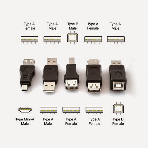 Tipos De Usb Conectores Estandares Y Caracteristicas Images