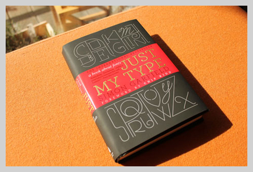 Just My Type Book