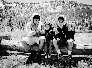 3 boys sitting on a log fence with a meadow and mountain in the background