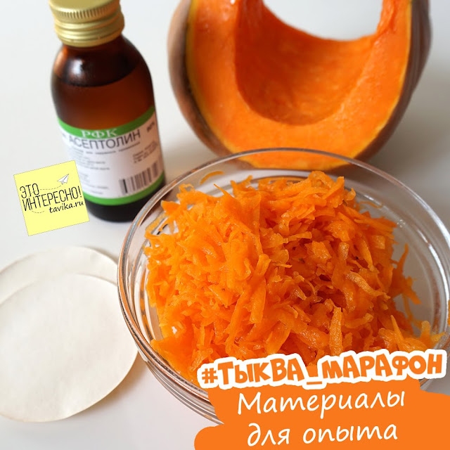 Узнаем о цвете растений