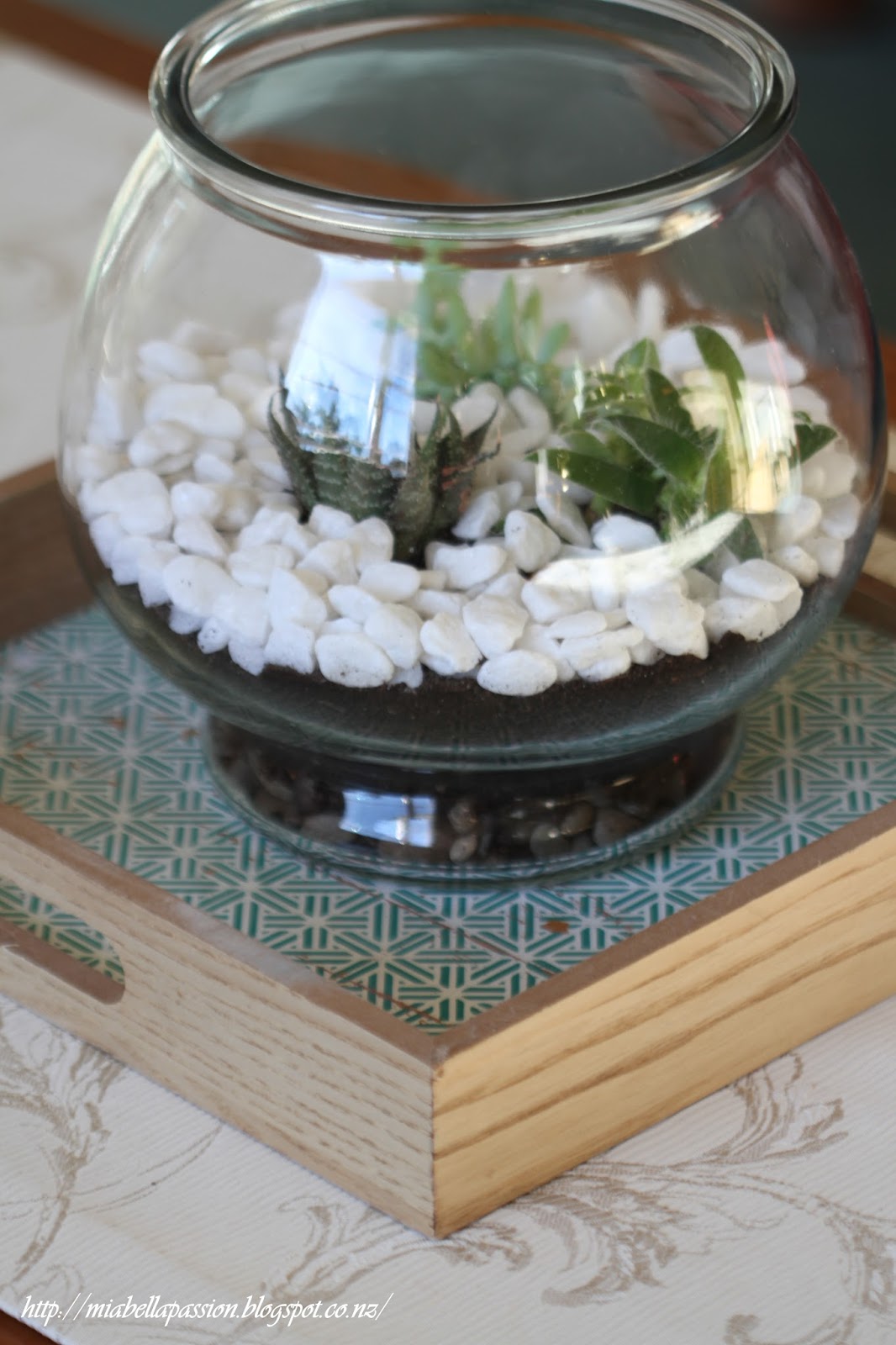 DIY Coffee Table Succulent Bowl...