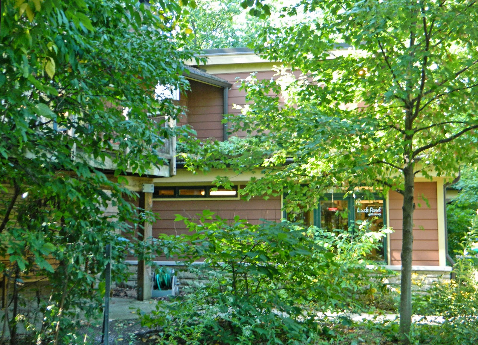 Jax Stumpes Nature in Shaker Heights, OH (8/2013)