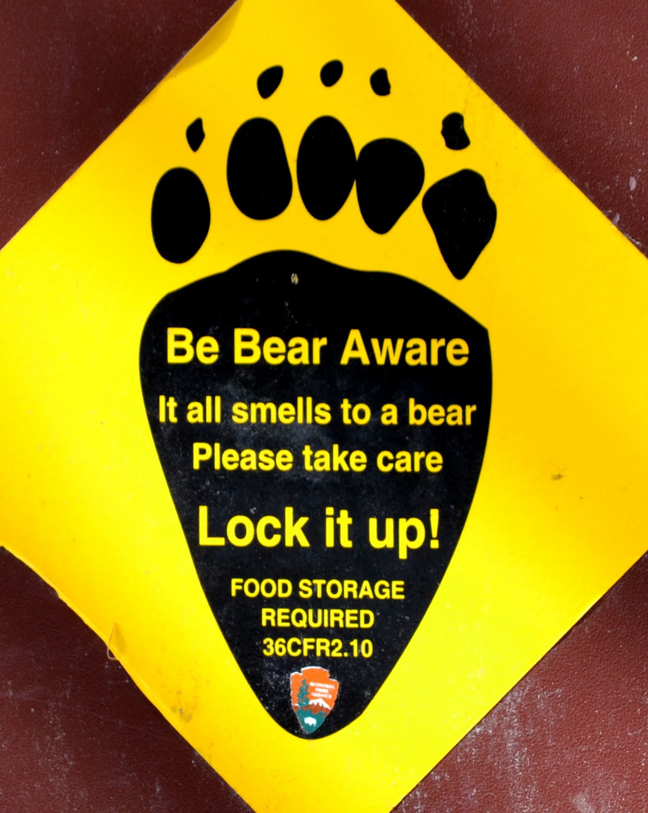 3 Guys. 2 Gals. Be Bear Aware