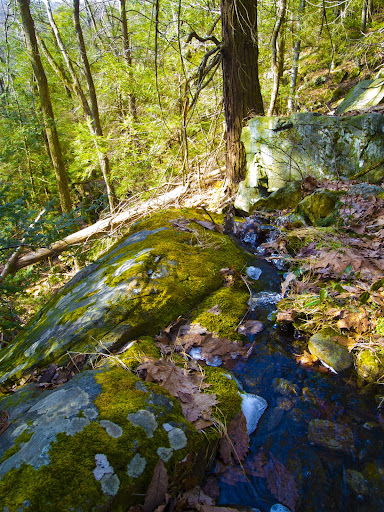 Tiny Falls on The Pomperaug Trail, Oxford Ct