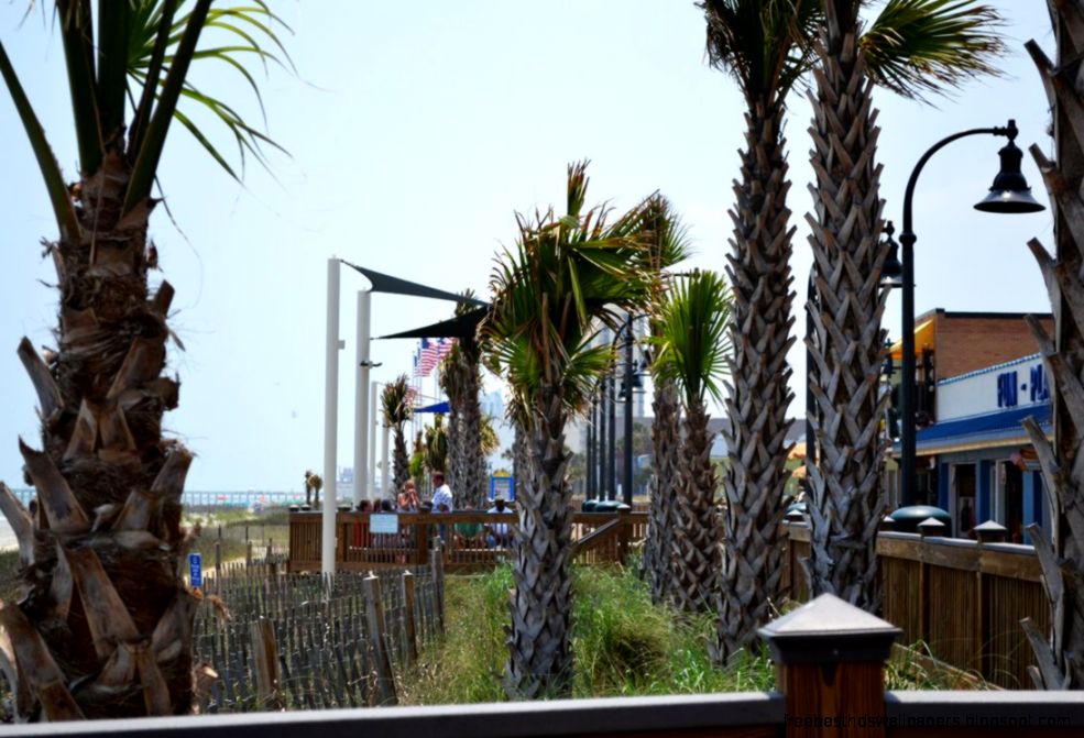 Myrtle Beach Palm Trees 2 by MrsChibi on DeviantArt