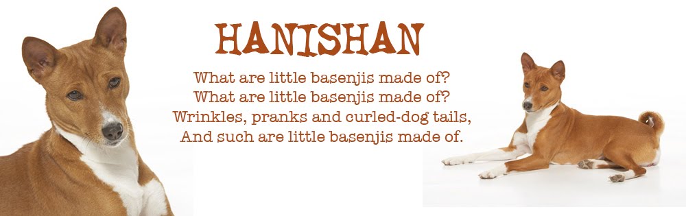 Hanishan Basenjit