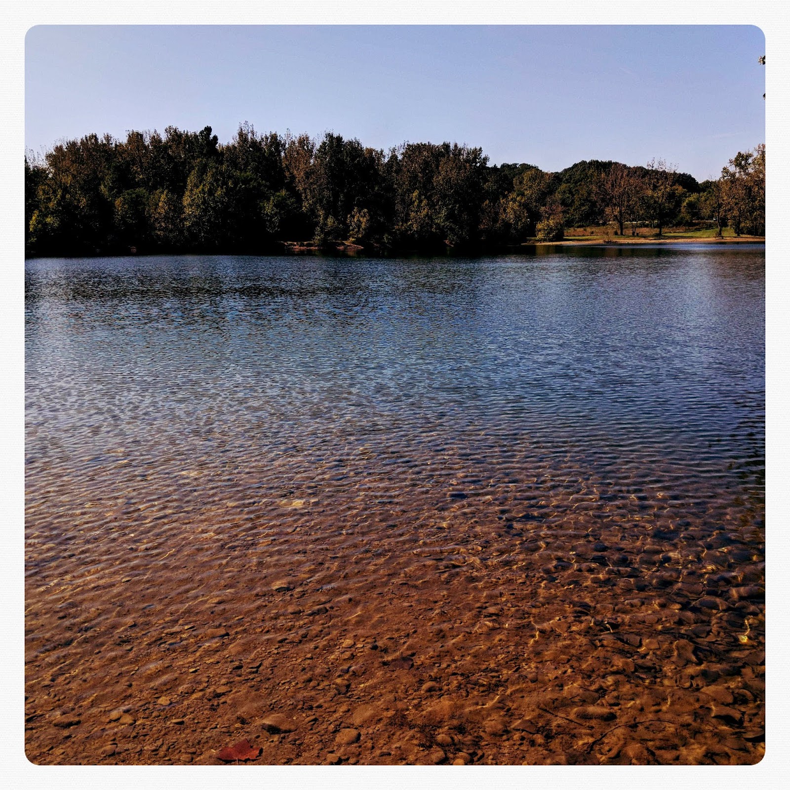 Visual Ohio Osprey Lake Visual Ohio One Shot!