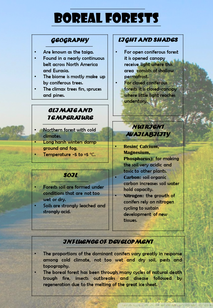 Introduction to Forest Science Task 2