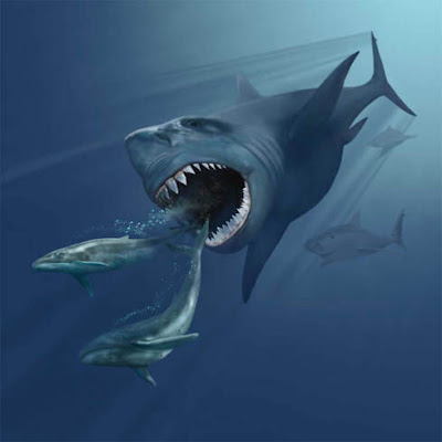 Megalodon-the-great-predator