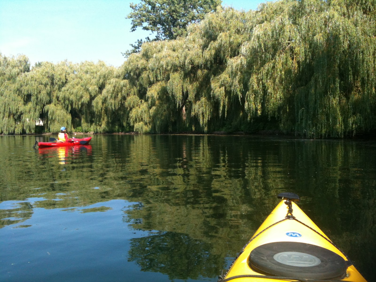 Toronto Fun Places In kayak around Toronto Islands (girlfriends outing)