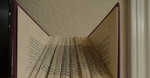 Noah's Miracle : Miracles from Heaven (Can Look Differently)