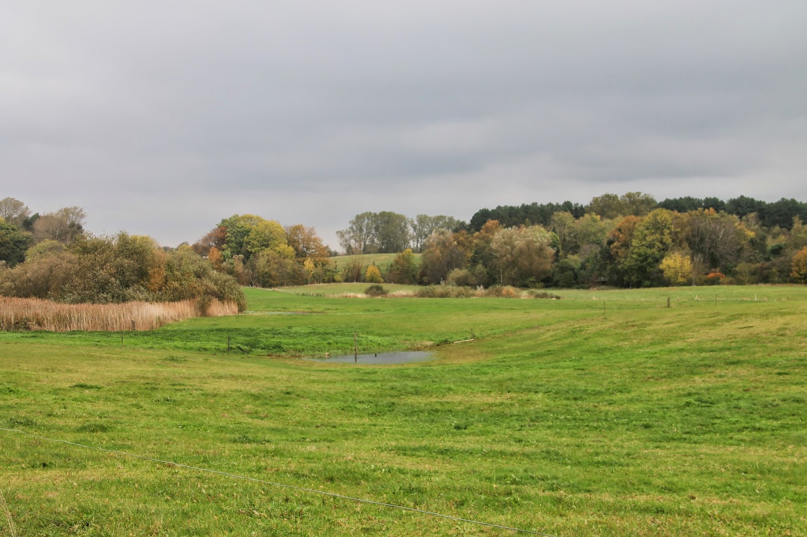 Vandringsløse Tidende Æbelholt Kildeplads og Kloster