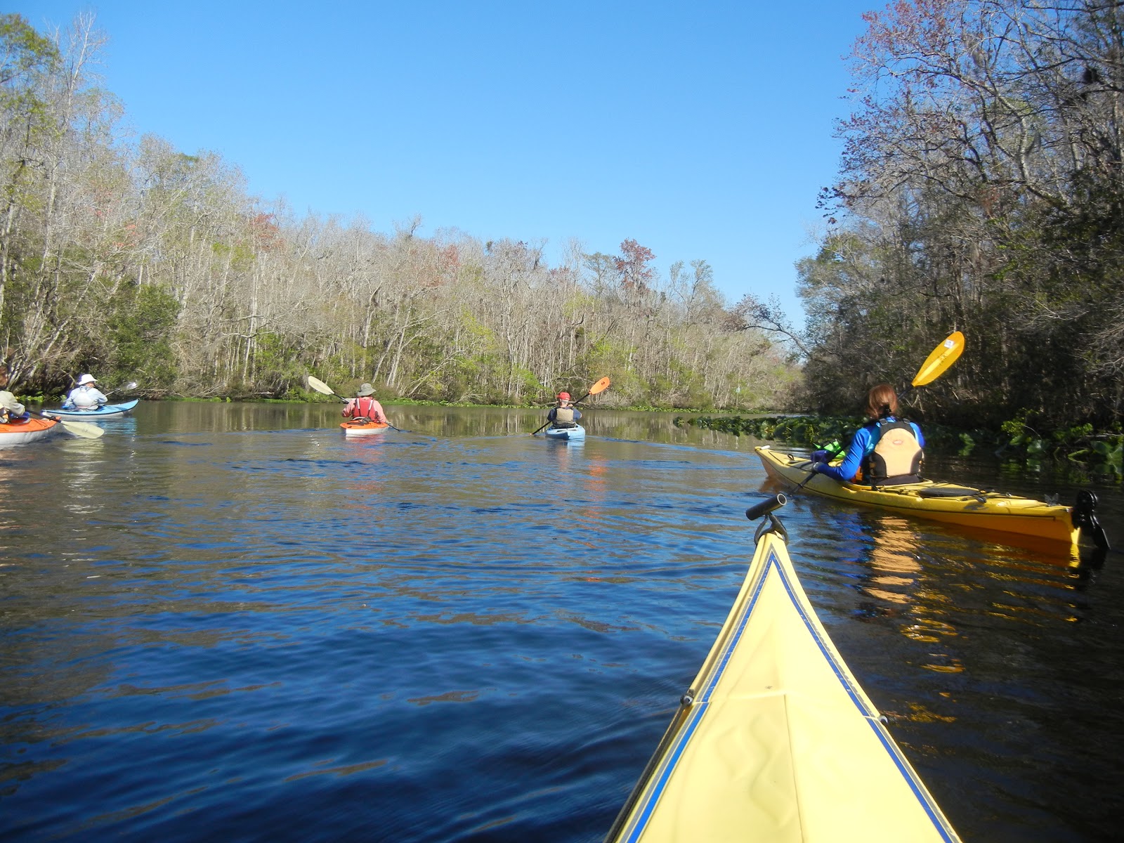 St. Johns River Alliance Nice paddle on Trout Creek in St. Johns County