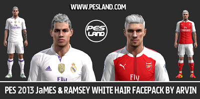 Ultigamerz Pes 2013 James Rodriguez Ramsey White Hair Facepack