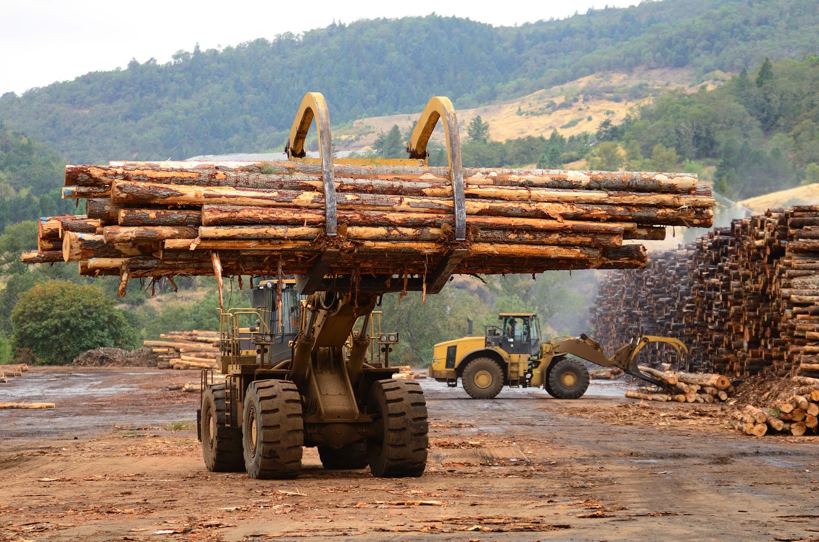 How did the development of engines help the timber industry? image