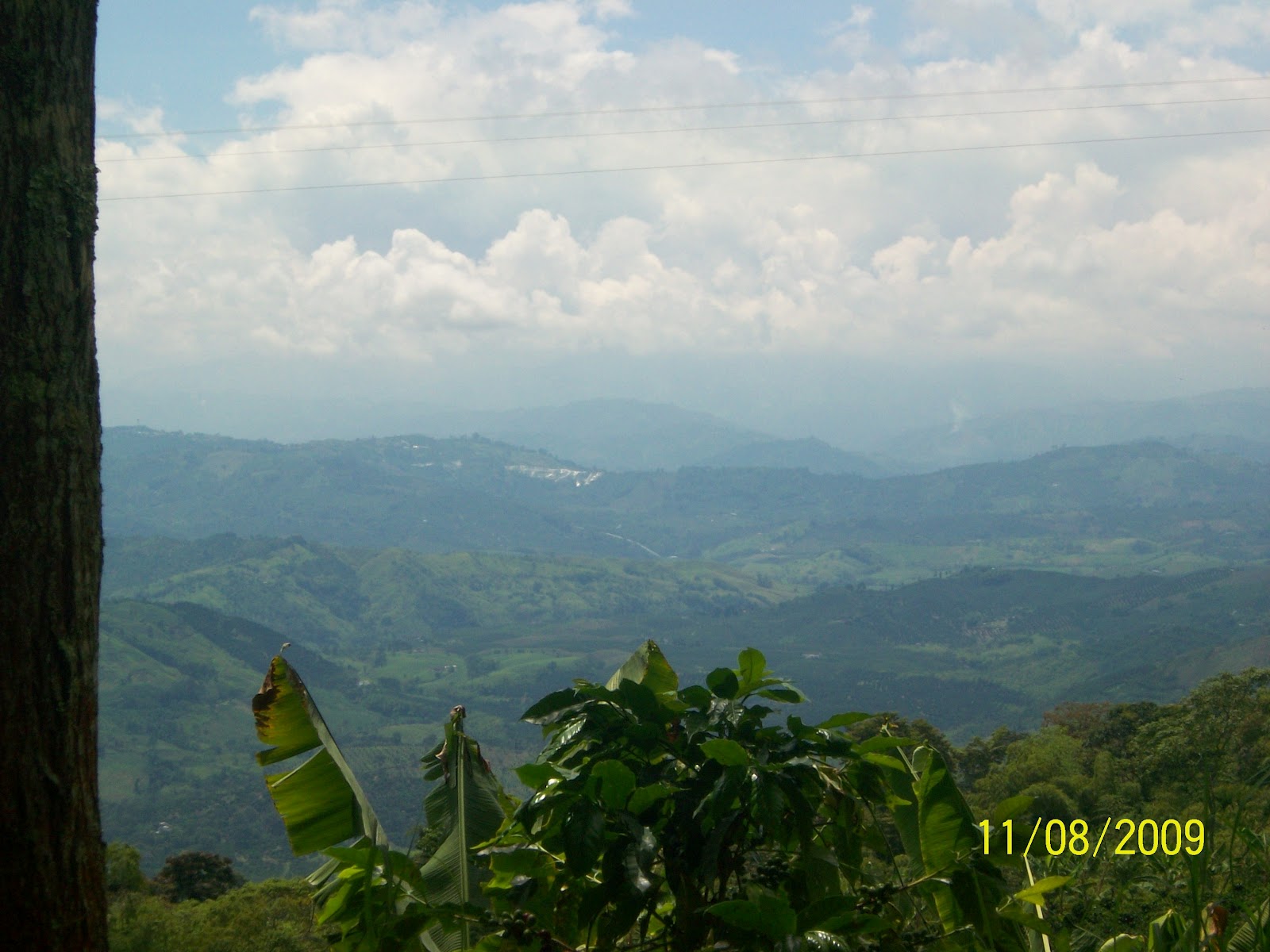 VEREDAS DE NUESTRO MUNICIPIO VERDE VEREDAS DE MARSELLA