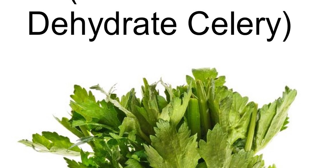 How to make celery salt plus how to dehydrate celery proverbs 31