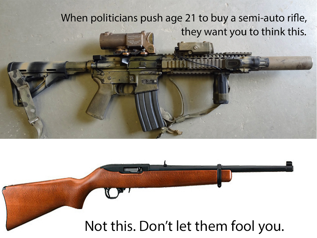 No Lawyers - Only Guns and Money: What They Really Mean