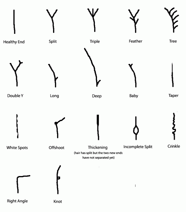 Naturalfinegeh Tips On How To Prevent Natural Hair Breakage