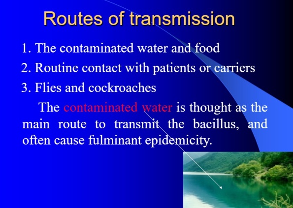 Routes of Transmission of Typhoid Fever