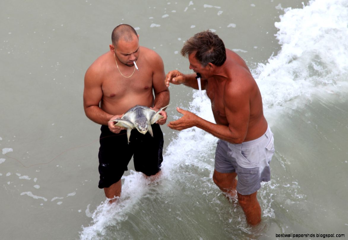 Mission accomplished  ROAD BLOG USA