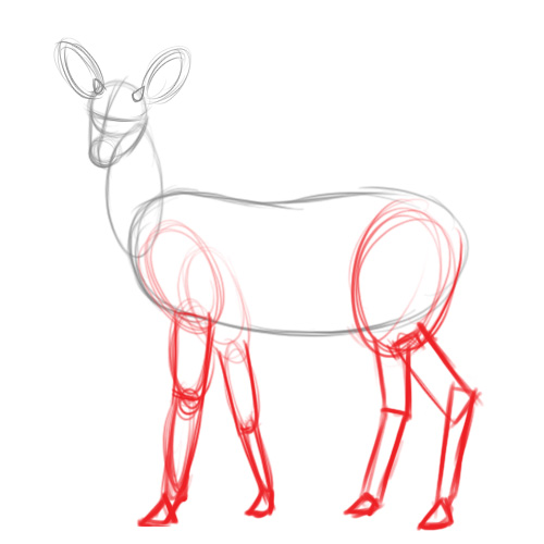 Pencil sketches and drawings How to Draw a Deer
