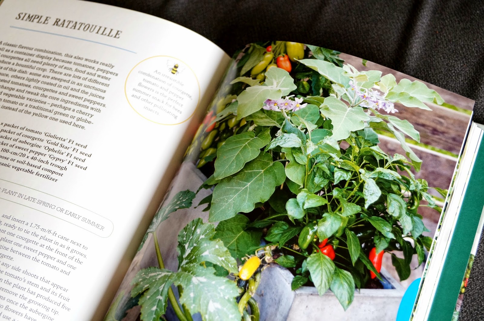 'the one-pot gourmet gardener' book (4) ~ growourown.blogspot.com