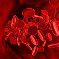 penyakit darah rendah cara mengatasinya, penyebab darah rendah, artikel yang membhas tentang darah rendah dan pengobatannya