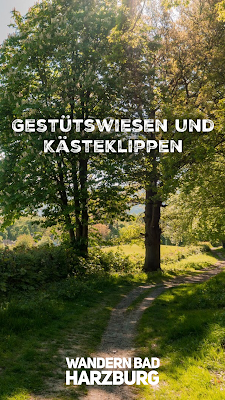 Wanderung Gestütswiesen und Kästeklippen  Wandern Bad Harzburg  Wandern-im-Harz  Wanderung-Niedersachsen 20
