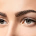 How to Quickly Grow Wide and Thick Eyebrows At Home